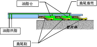 盾尾油脂倉構造圖